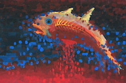 fisch-rot-blau